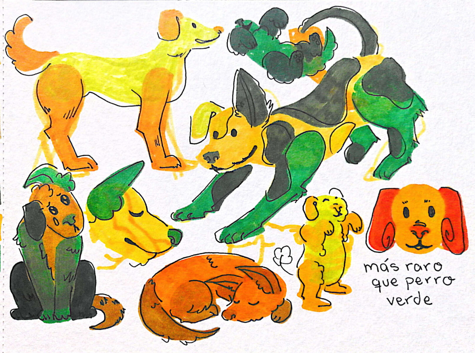 Práctica Explorativa