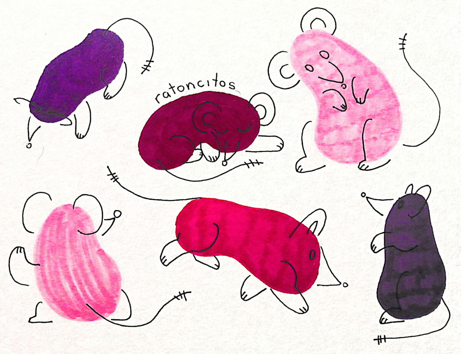 Práctica Explorativa